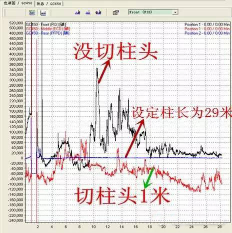 1548815532341155.jpeg zuzi.jpeg