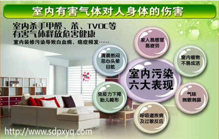 1549099755342662.jpg 室内苯系物检测 拷贝.jpg